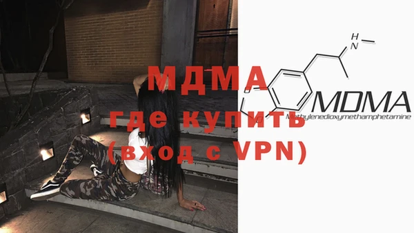 шишки Бородино