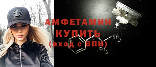 молекула духа Бронницы