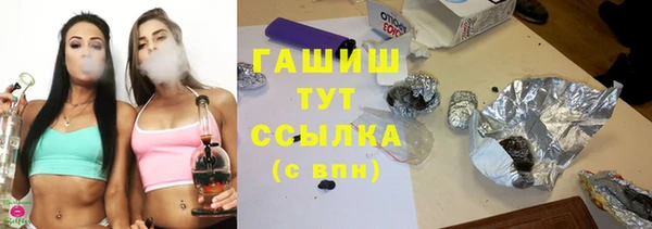 шишки Бородино