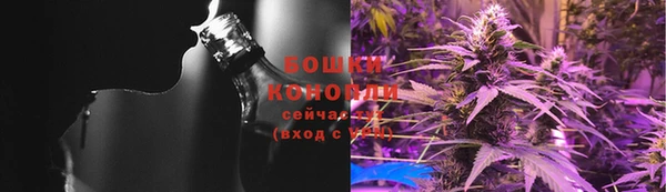 молекула духа Бронницы