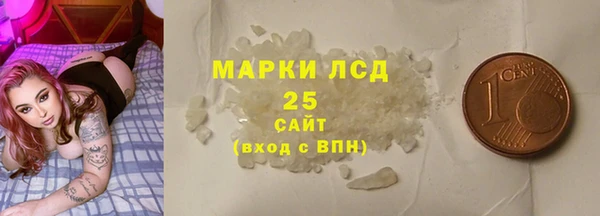 шишки Бородино