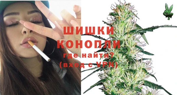 молекула духа Бронницы