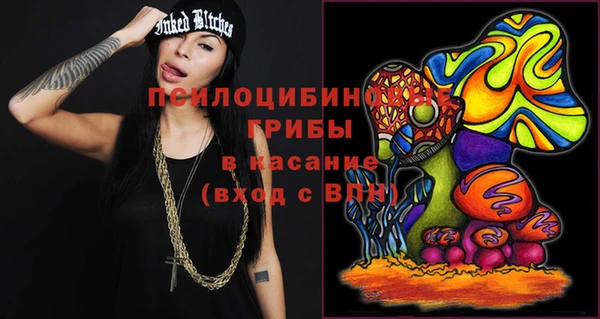 шишки Бородино