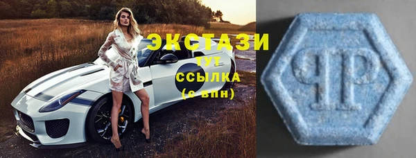 шишки Бородино