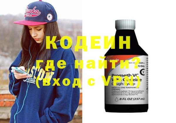 шишки Бородино