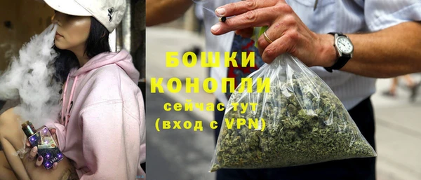 молекула духа Бронницы