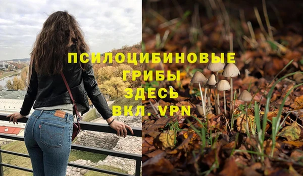 шишки Бородино