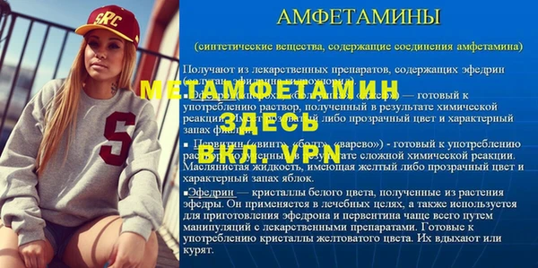шишки Бородино