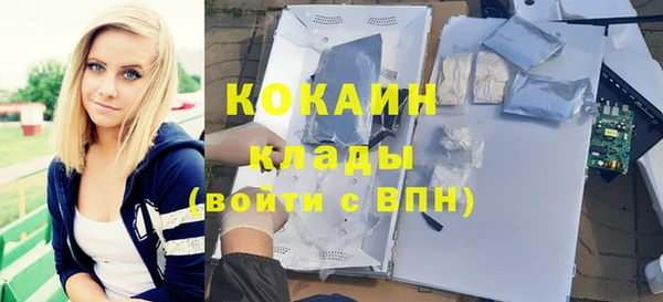 молекула духа Бронницы